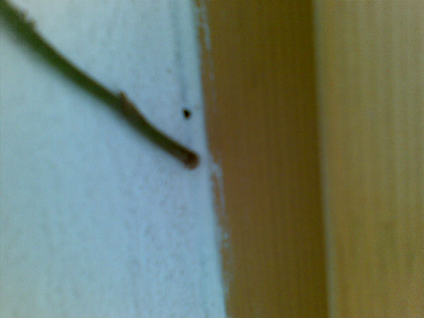 foto k příspěvku  od Zdenek