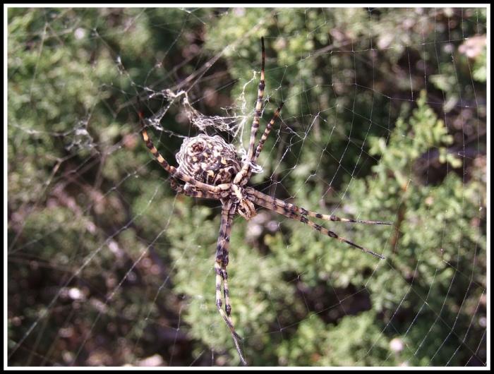 foto k příspěvku  od TheTimo