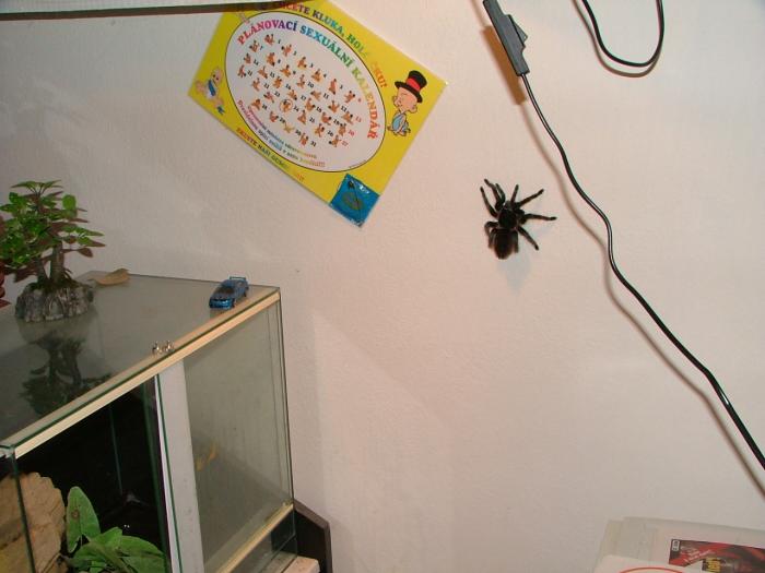 foto k příspěvku  od H-Honza