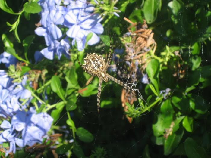 foto k příspěvku  od muSlim