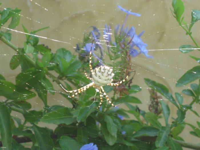 foto k příspěvku  od muSlim