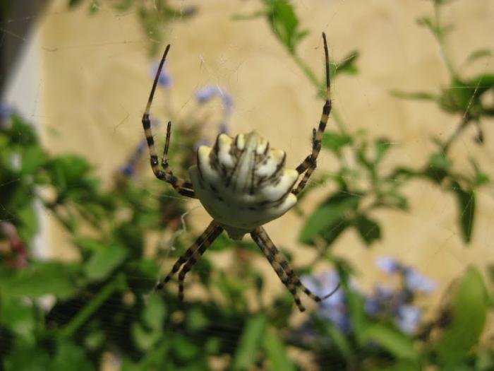 foto k příspěvku  od muSlim