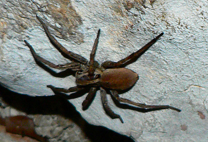 foto k příspěvku  od Crimson