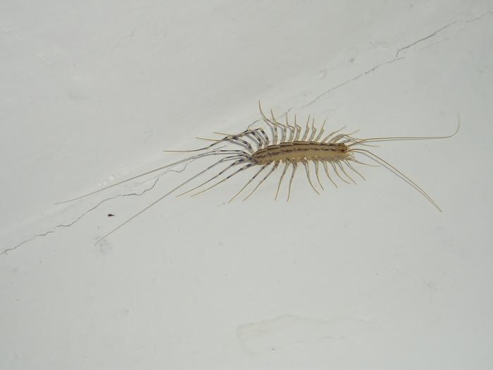 foto k příspěvku  od luda551