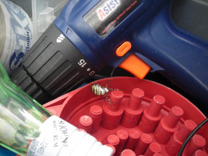 foto k příspěvku  od Mááša