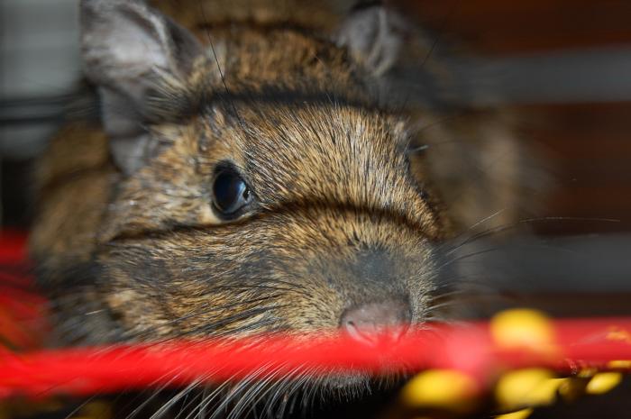 foto k příspěvku  od choze