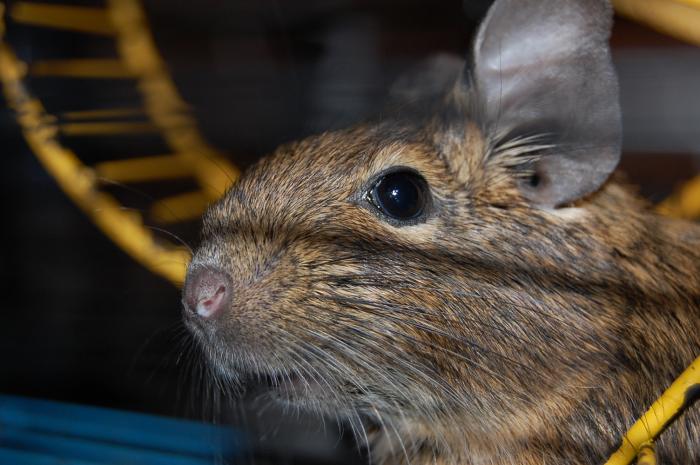 foto k příspěvku  od choze