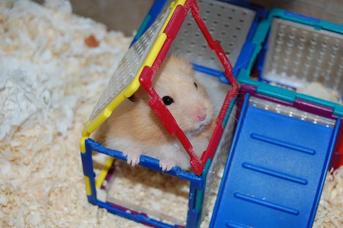 foto k příspěvku  od choze