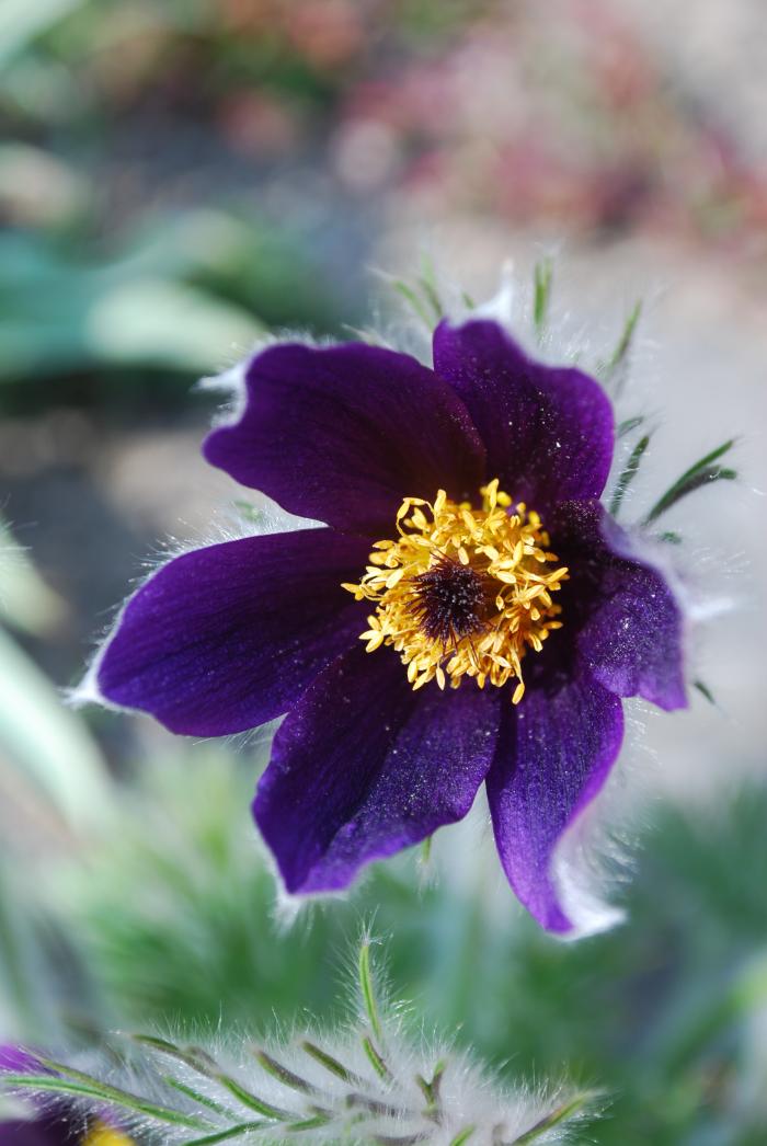 foto k příspěvku  od Tuner#2