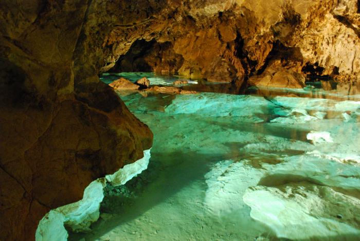 foto k příspěvku  od radek.613