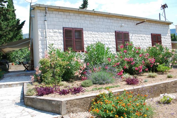 foto k příspěvku  od Kapka