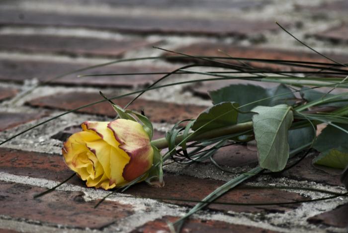 foto k příspěvku  od Bucci