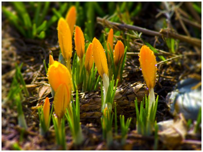 foto k příspěvku  od Bucci