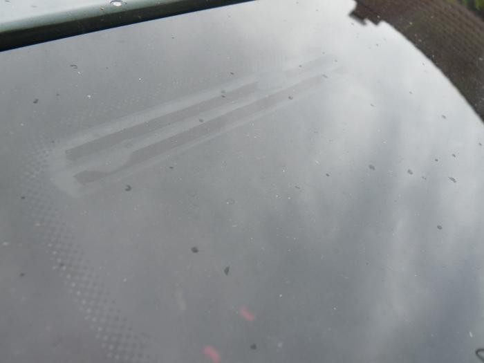 foto k příspěvku  od Losky