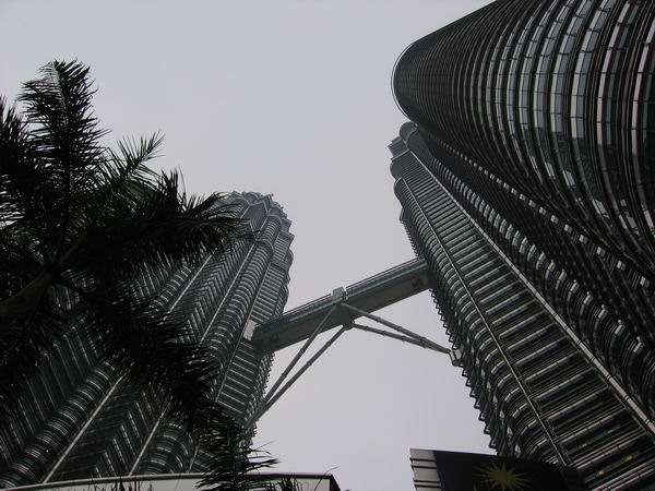 foto k příspěvku  od camron