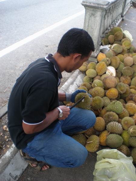 foto k příspěvku  od camron