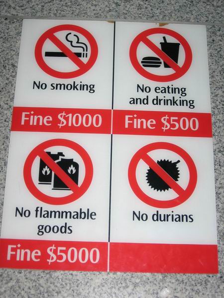 foto k příspěvku  od camron