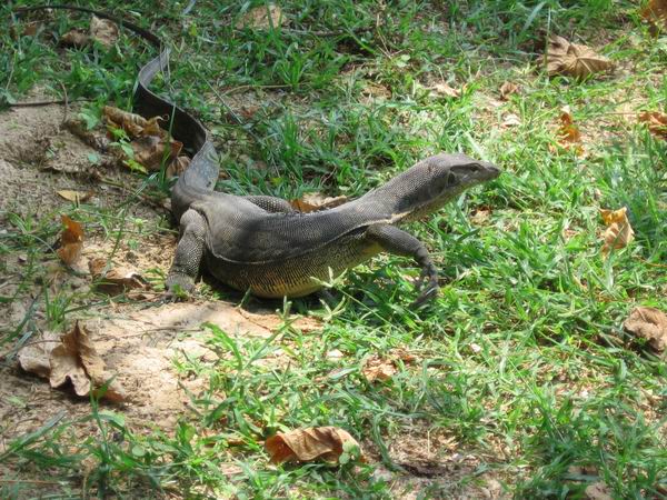 foto k příspěvku  od camron