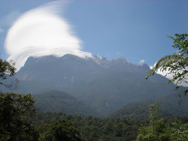 foto k příspěvku  od camron