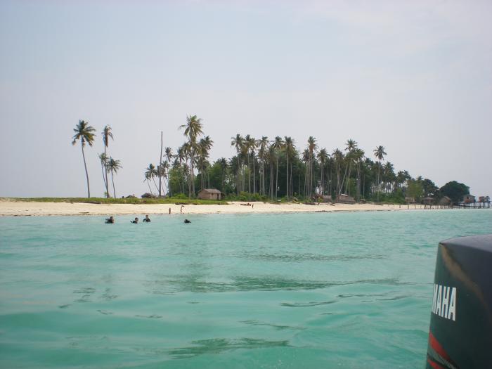 foto k příspěvku  od camron