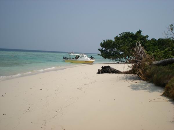 foto k příspěvku  od camron