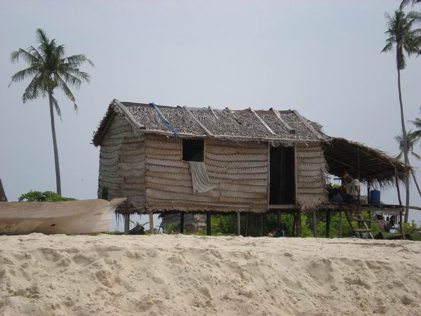 foto k příspěvku  od camron