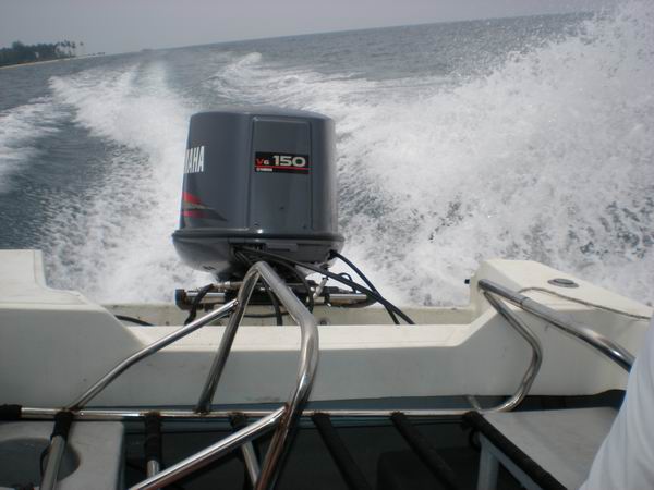 foto k příspěvku  od camron