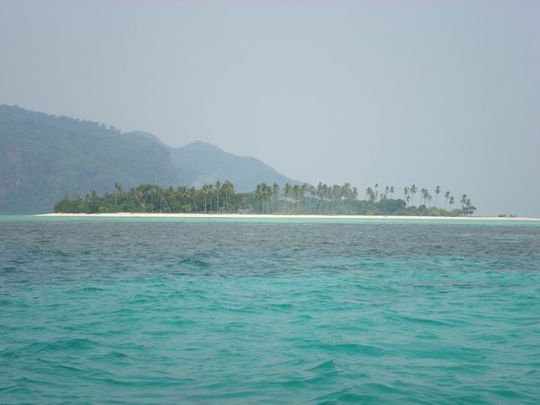 foto k příspěvku  od camron