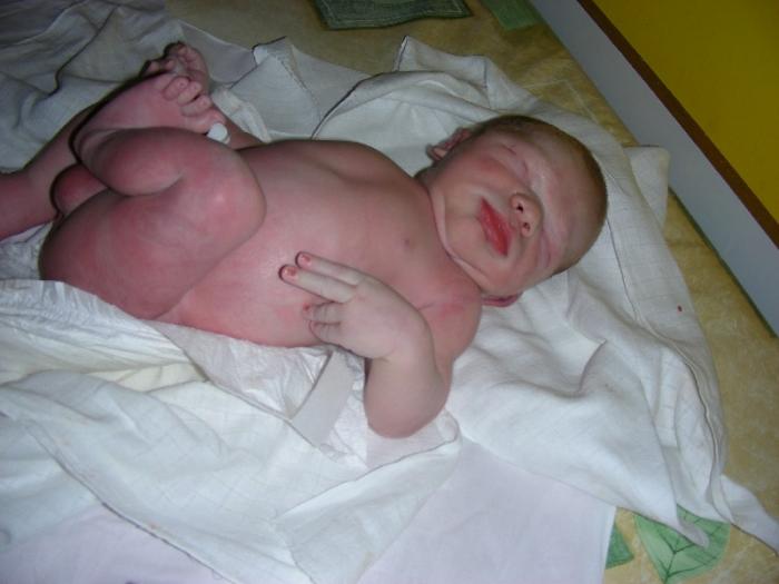 foto k příspěvku  od johanik