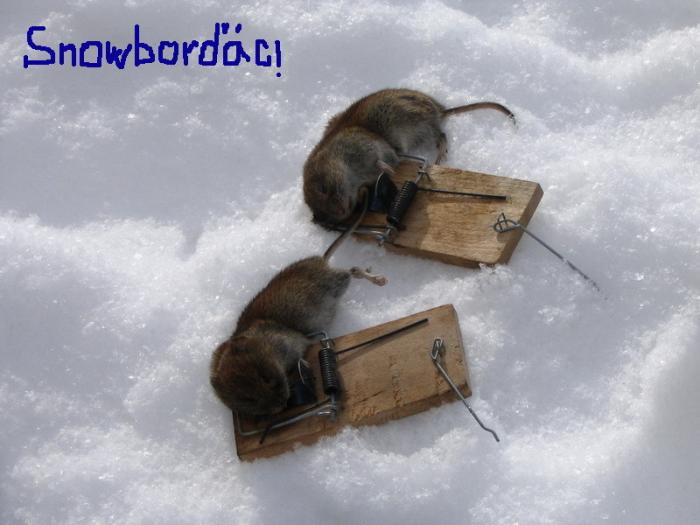 foto k příspěvku  od schwaboid