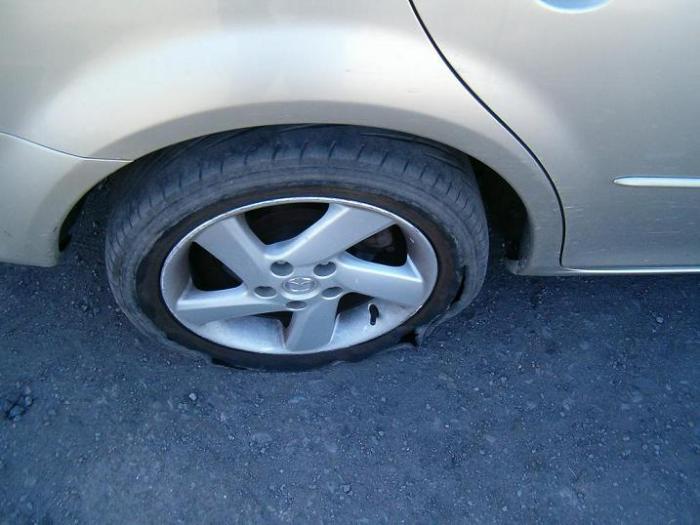 foto k příspěvku  od JP