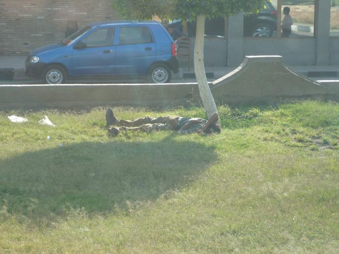 foto k příspěvku  od Jerry.s