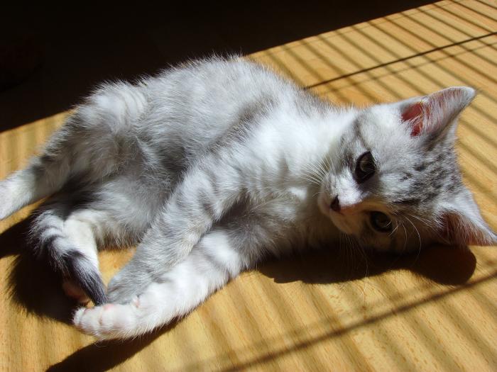 foto k příspěvku  od D-door