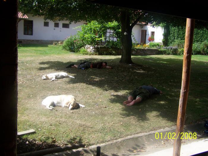 foto k příspěvku  od Kesam