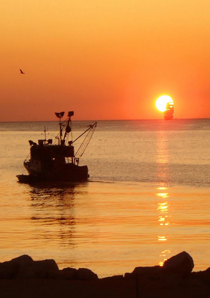 foto k příspěvku  od Crimson