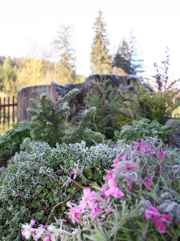 foto k příspěvku  od Crimson