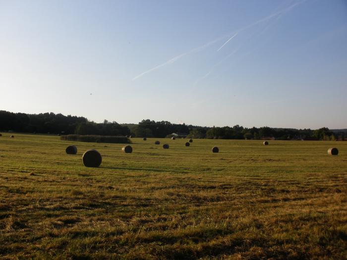 foto k příspěvku  od škodovkář