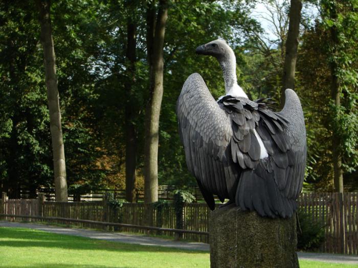 foto k příspěvku  od Kacko