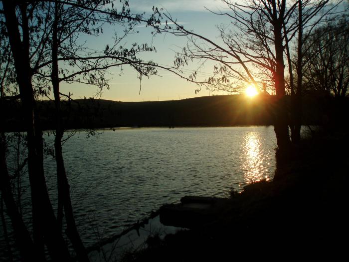 foto k příspěvku  od DaveX