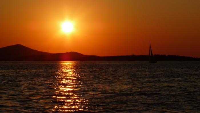 foto k příspěvku  od Losky