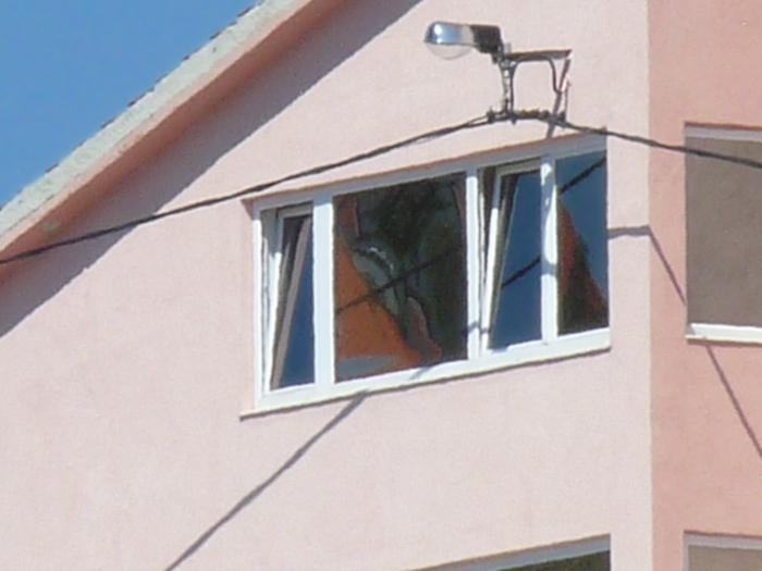 foto k příspěvku  od Losky