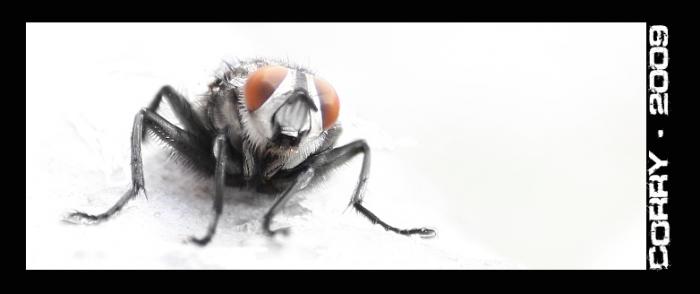 foto k příspěvku  od Corry