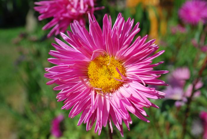 foto k příspěvku  od M@rtin