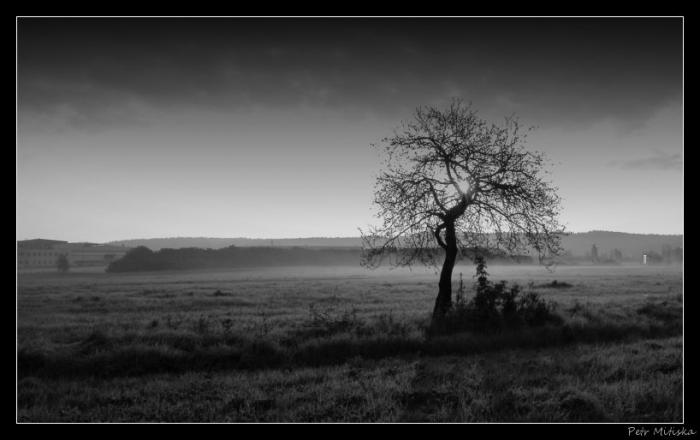 foto k příspěvku  od PachezZ