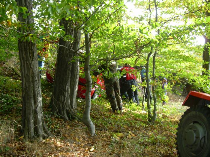 foto k příspěvku  od xxfavo