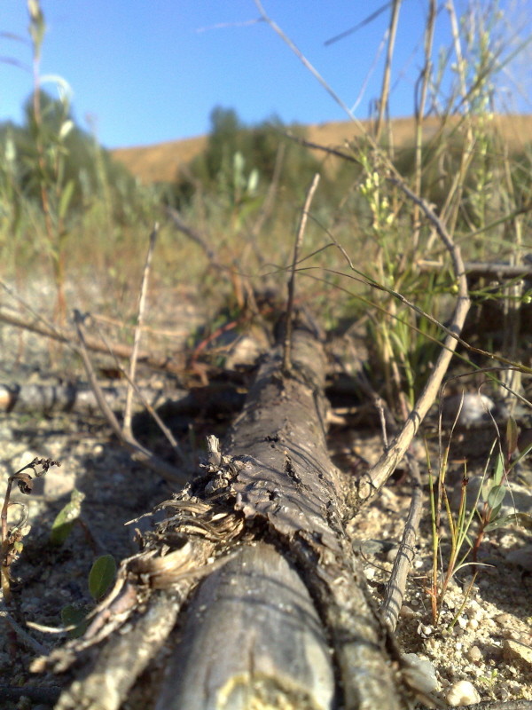 foto k příspěvku  od Mááša