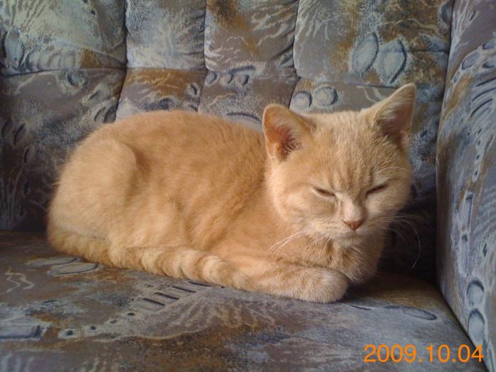 foto k příspěvku  od Knightey-