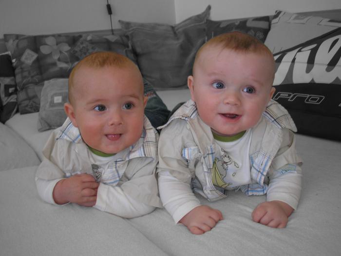 foto k příspěvku  od Petura