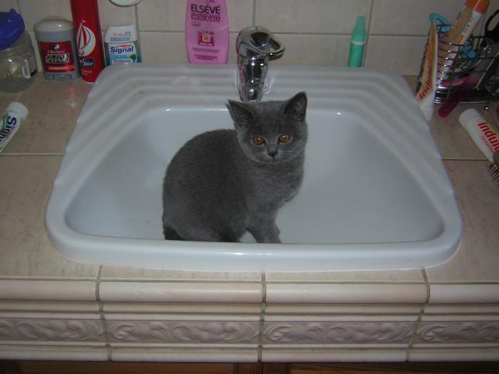 foto k příspěvku  od filip146