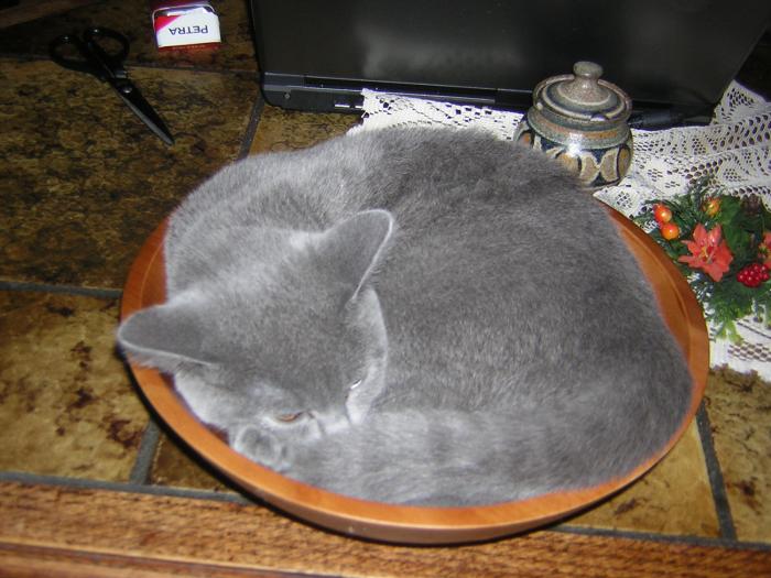 foto k příspěvku  od filip146